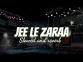 Jee le Zaraa (Slowed+Reverb) -  Dadhlani | Slowed and reverb songs | Ancient healer music