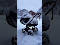 How Babies Sleep In The Cold