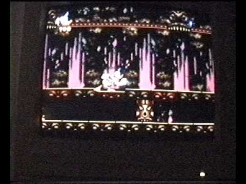 Maui Mallard Cold Shadow Level 1 PC The Mojo Mansion