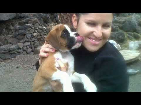 mis compañeros de vida.el que ama a los animales.el alma se libera.