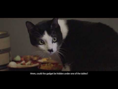 Funny Cats Video @ Xcape Singapore - Confidential Players' Escape Room Video Leaked!