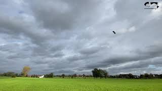 Spiderkites Lycos Competition im Hackwind