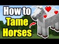 How To Tame A Horse In Minecraft Easy Guide