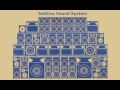 Sathiva French Electro Dub Mix 1