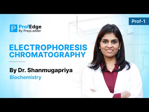 Electrophoresis Chromatography | MBBS Prof 1 | Dr. Shanmugapriya