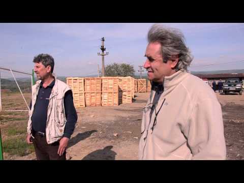 Teren de fotbal comuna Domasnea