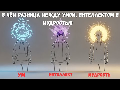 Три уровня мозга: Ум, Интеллект, Мудрость — в чём разница?