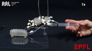 CMOS-Inspired Complementary Fluidic Circuits for Soft Robots (demo)