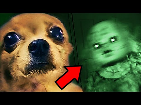Top 10 SCARY Ghost Videos To Give You PIT STAINS