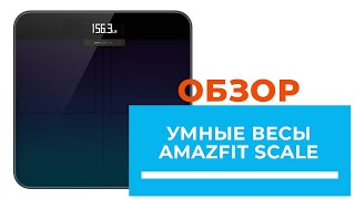 Amazfit Smart Scale (A2003) - відео 1