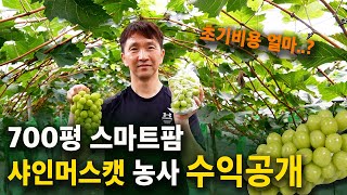 700평 스마트팜으로 '샤인머스캣' 농장 지으면, 매출은 얼마나 될까? [샤인머스켓 농사, 스마트팜] 소까봉…