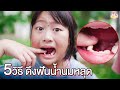 วิธี