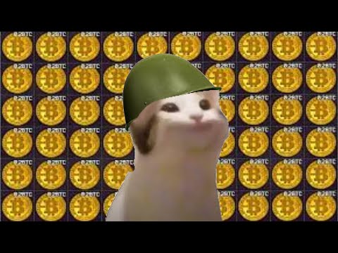 pov tarkov after your vacation