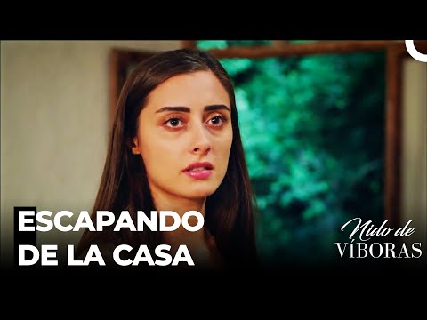 La Última Opción De Elvan - Nido De Víboras