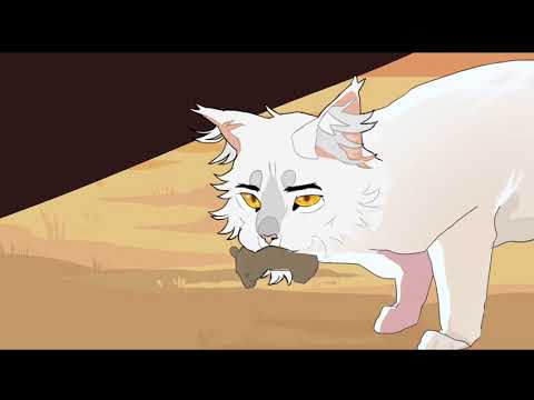 [Part 3] WhiteStorm MAP (I won’t back down)