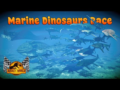 Miaw Gaming 2 and Miaw Gaming