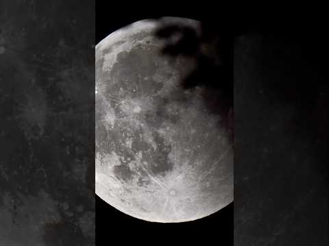 Blood moon + 1800mm lens… nah mate, cloud then neighbours tree 🤦