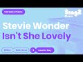 Stevie Wonder - Isn't She Lovely (Lower Key) Piano Karaoke