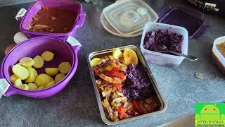 XREXS 80W Elektrische Lunchbox 1,8L warmes Essen im Auto oder Zuhause Mikrowellen Ersatz 12V 230 V