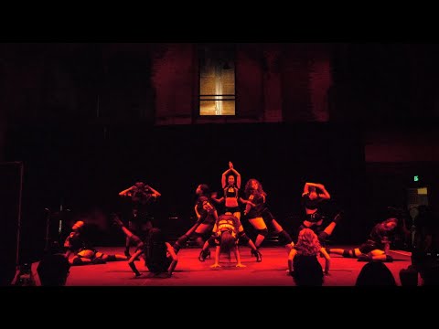 "UNIT 6: Video Vixens" — DASAC Fall 2025