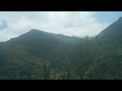 Nuvara Eliya petthe lassana 😀