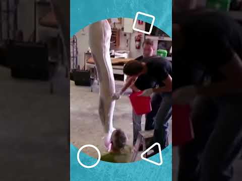 H2O - How they made the Mermaid Tails!