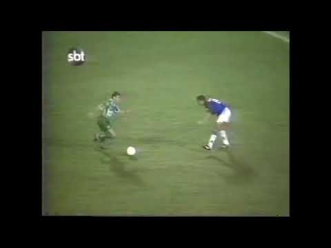 Paraná 1 x 3 Palmeiras - Copa do Brasil 1996