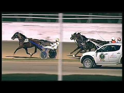 Trotto 18/10/2020 - 11ª corsa