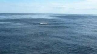 All For Nothing (I'm Glad You're GGG Gone) - TEEN HEARTS