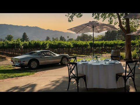ROMANIA 4K | Driving Timisoara Recas Wineries | Transylvania Road Trip