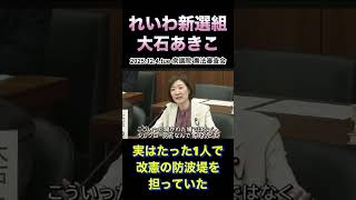 【れいわ新選組：大石あきこ】自民党による怒涛の改憲圧力とたった1人で戦っていた #れいわ新選組 #大石あきこ #政治