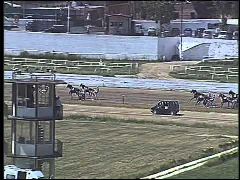 Trotto 11/06/2015 - 1° corsa