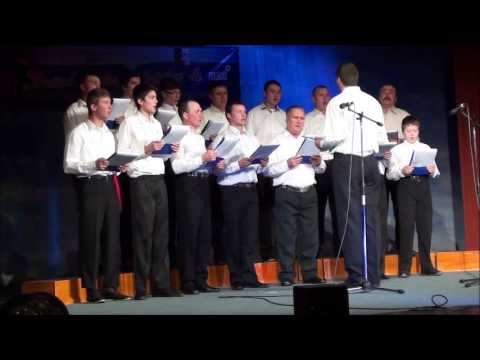 fedestenii in concert