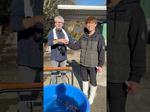 Video Vorschau Ginrin Showa Einkauf bei Suda