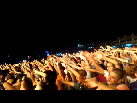 EVOL WAVES - PING PONG