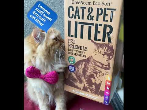 Super fast Clumping Cat Litter - World's Best Cat Litter