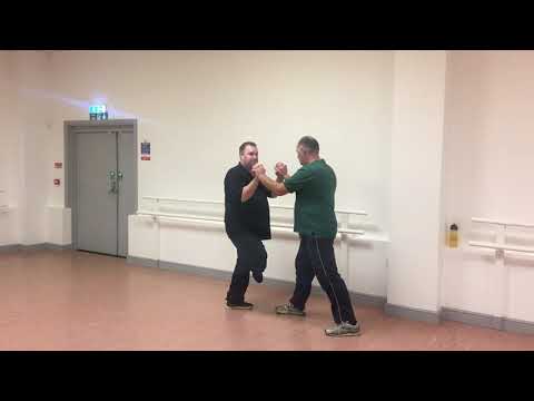 Wing Chun Kung Fu | Structure | How to Test & Develop Your Skill | Mann Family School of Kung Fu