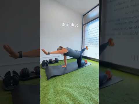 RUTINA HERNIA DISCAL LUMBAR