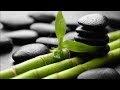 Relaxation Music (Chinese Bamboo Flute Theme)