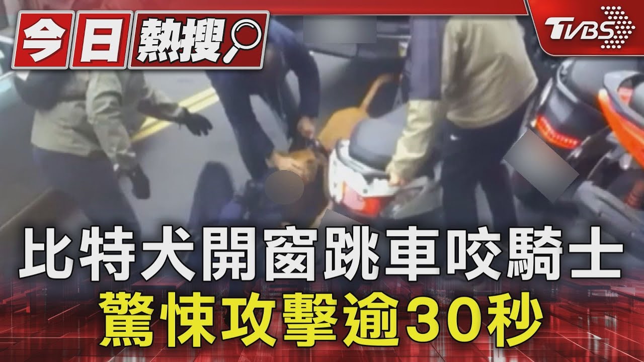 比特犬會「自開車窗」?監視器關鍵7秒打臉 疑飼主放狗咬人