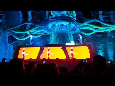 Sunrise Festival 2019 - 4 Strings