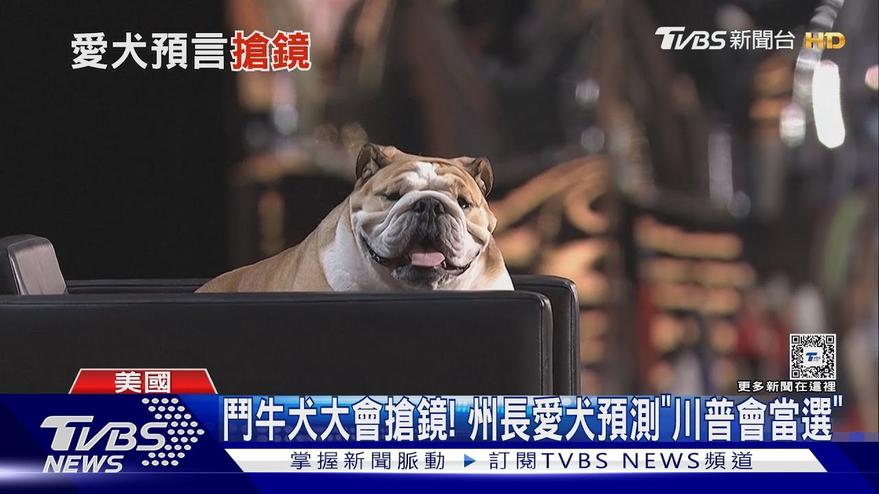 共和黨大會鬥牛犬搶鏡!白宮前發言人瘦身20公斤