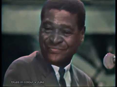 Cousin Joe Pleasant - Chicken à La Blues live in Paris [Colourised] 1964