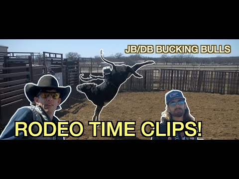 JB/ DB BUCKING BULLS - Behind the scenes
