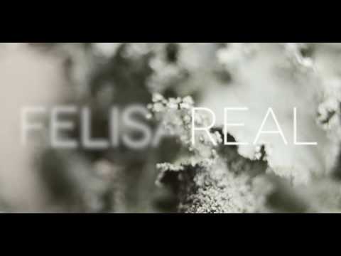 download lagu mp3 mp4 Felisa, download lagu Felisa gratis, unduh video klip Felisa