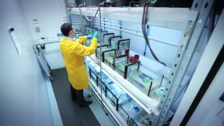 Water Science: Aquatic ecosystems