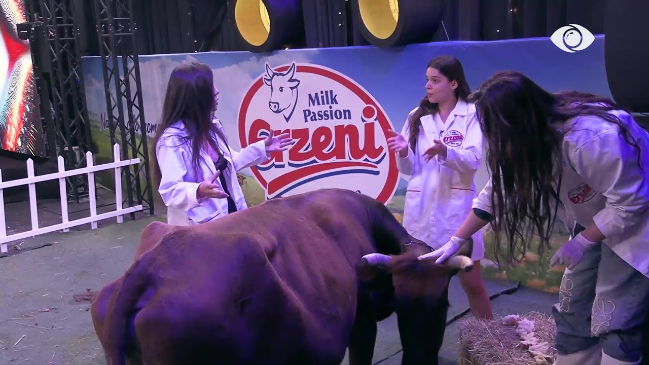 “Nuk jam e dashura…”/ Rizarta diskuton me Olën dhe Rozanën për Aldon