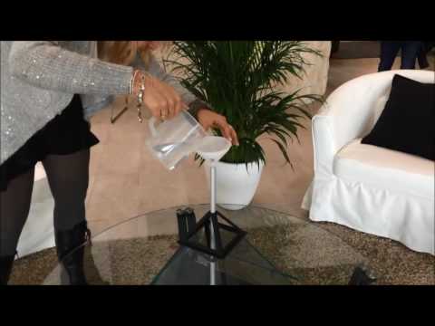 Видеообзор