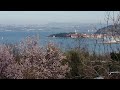 Arthur – Allison Crowe + Band Live on Radio Koper – Easter Concert