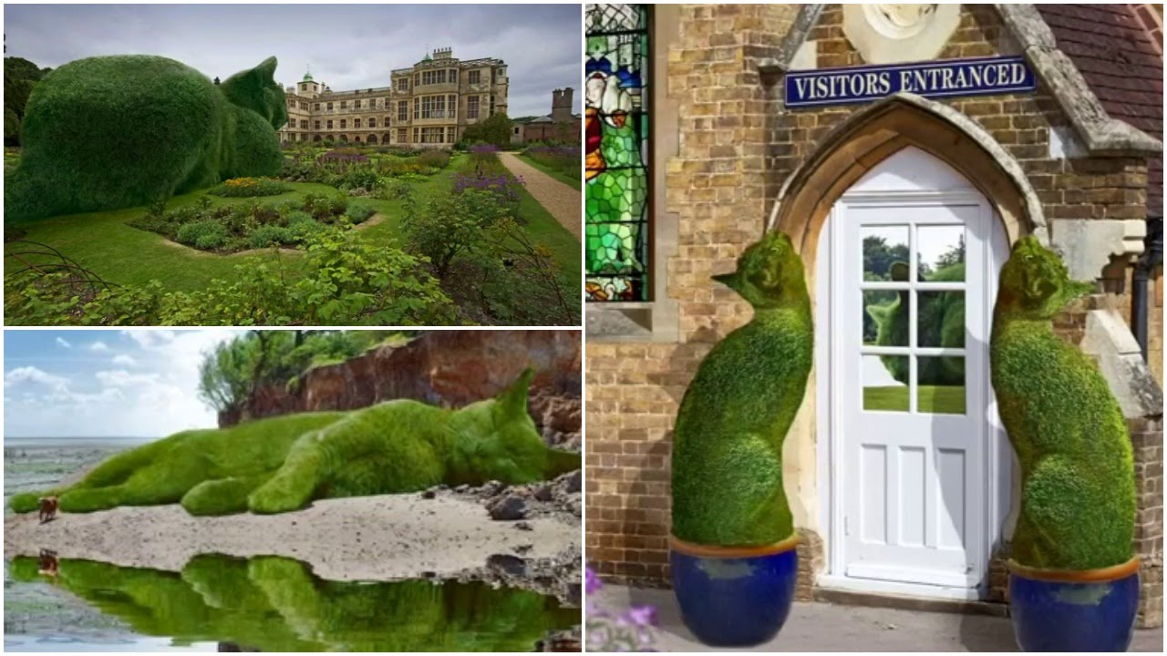 A spectacular art series inspired by artists’ pet